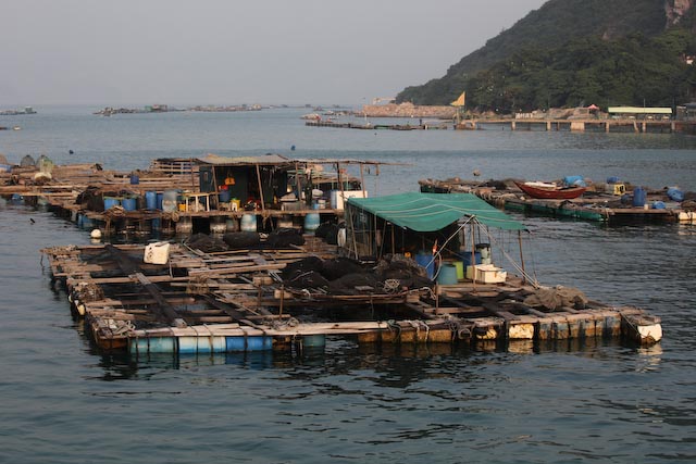 hong-kong-bateaux-photo-charles-guy-09